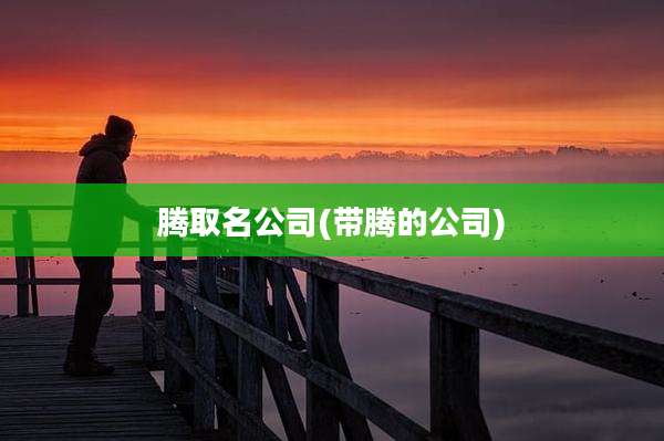 腾取名公司(带腾的公司)