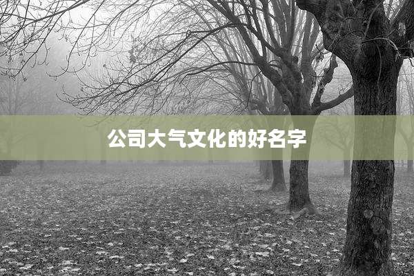 公司大气文化的好名字