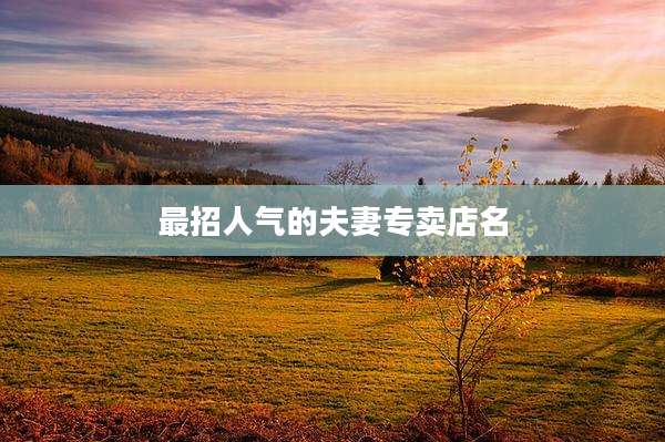 最招人气的夫妻专卖店名