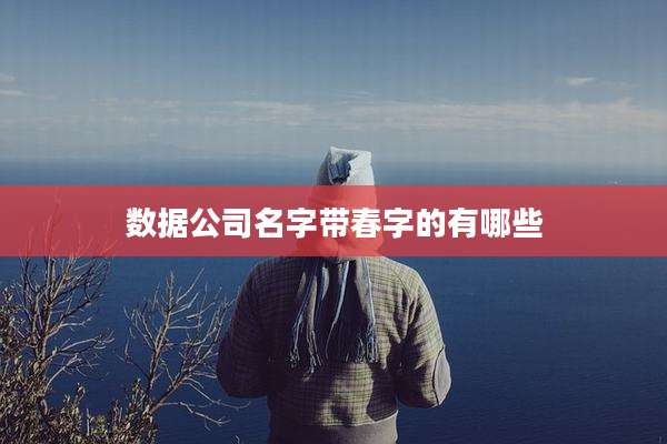 数据公司名字带春字的有哪些