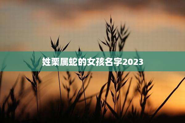 姓栗属蛇的女孩名字2023