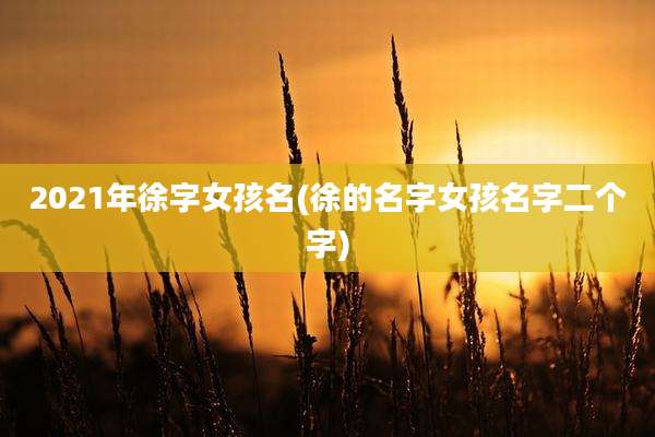 2021年徐字女孩名(徐的名字女孩名字二个字)