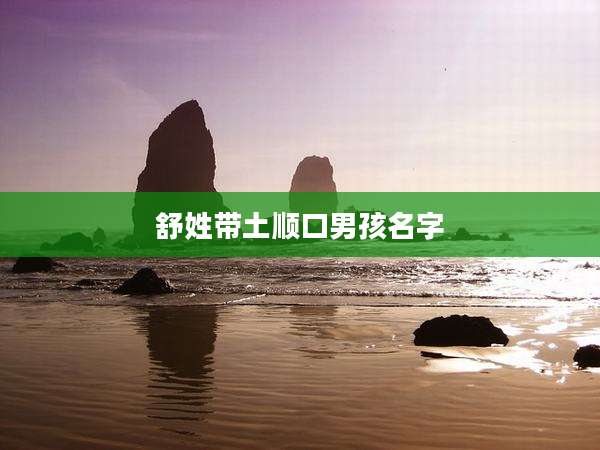 舒姓带土顺口男孩名字