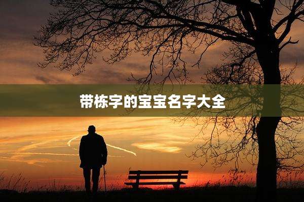带栋字的宝宝名字大全
