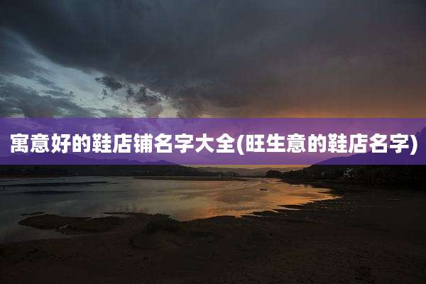 寓意好的鞋店铺名字大全(旺生意的鞋店名字)