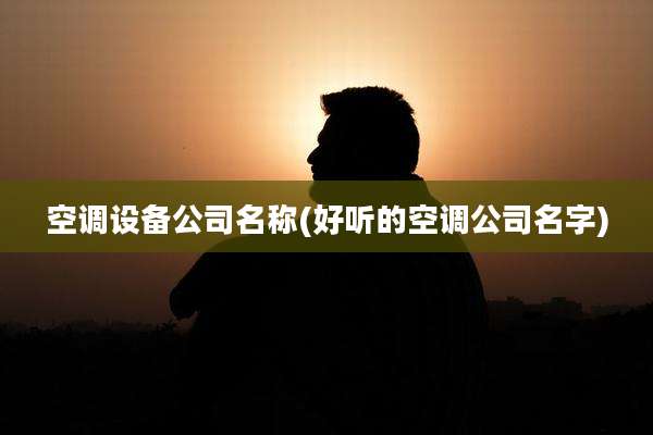 空调设备公司名称(好听的空调公司名字)