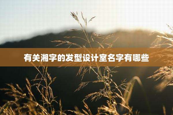 有关湘字的发型设计室名字有哪些