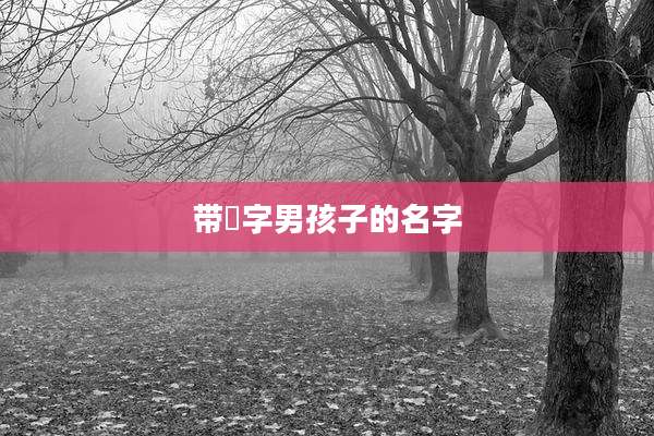 带珵字男孩子的名字