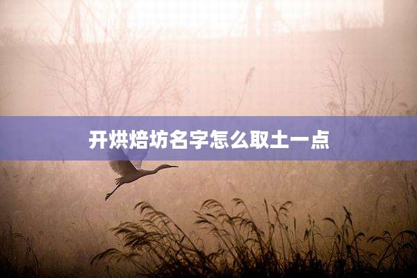 开烘焙坊名字怎么取土一点