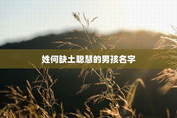 姓何缺土聪慧的男孩名字
