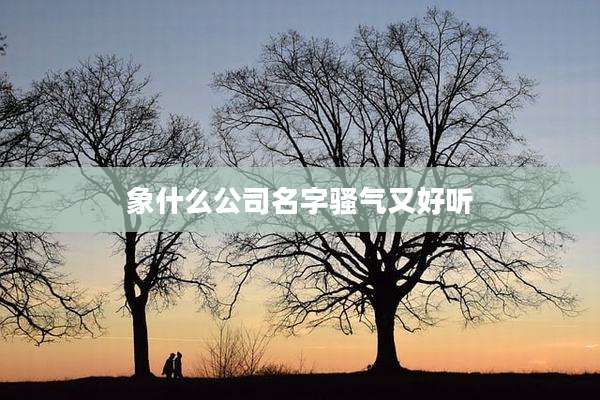 象什么公司名字骚气又好听