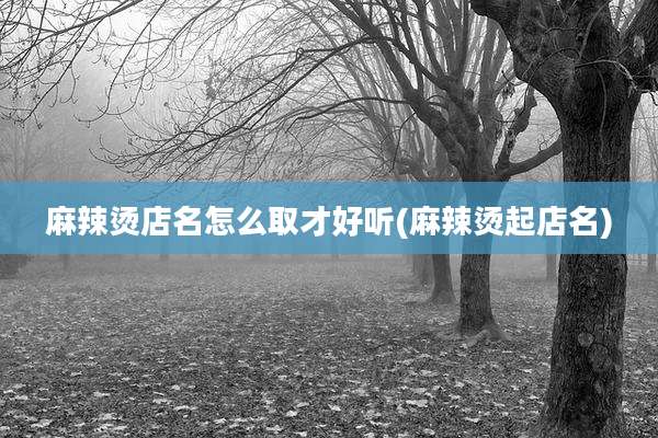 麻辣烫店名怎么取才好听(麻辣烫起店名)