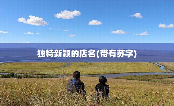 独特新颖的店名(带有苏字)