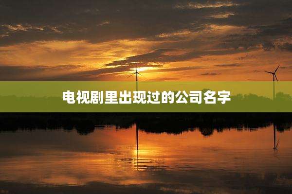 电视剧里出现过的公司名字