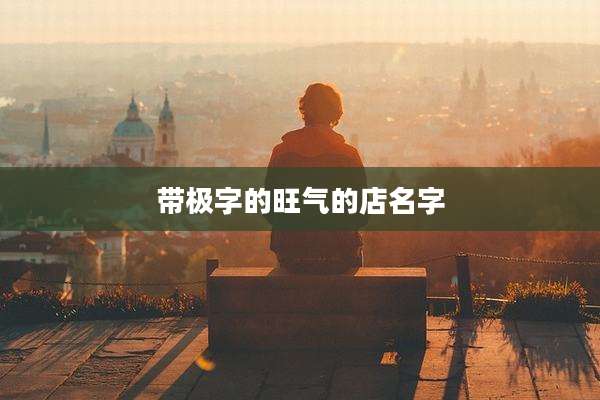 带极字的旺气的店名字