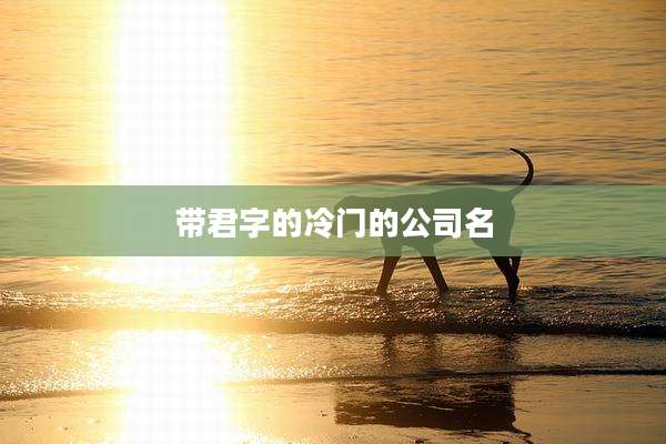 带君字的冷门的公司名