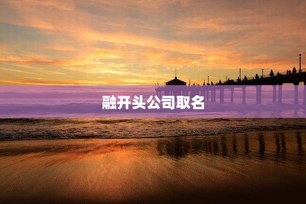 融开头公司取名
