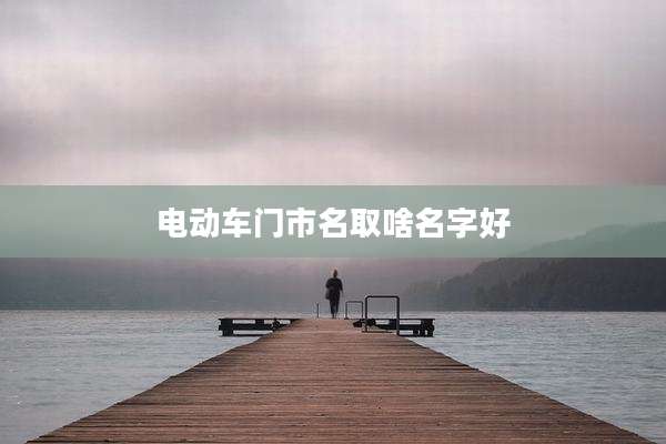 电动车门市名取啥名字好
