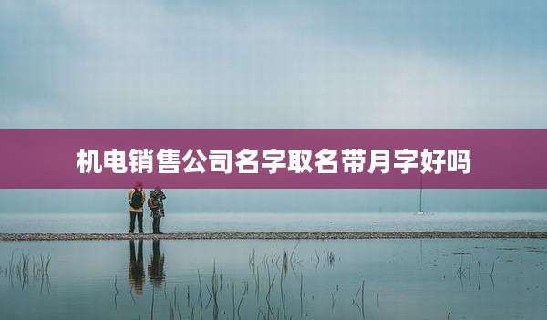 机电销售公司名字取名带月字好吗