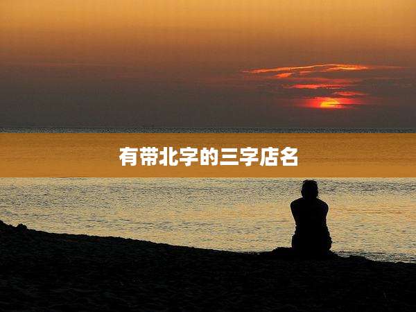 有带北字的三字店名