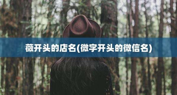 薇开头的店名(微字开头的微信名)
