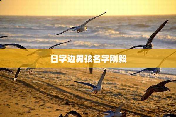 日字边男孩名字刚毅