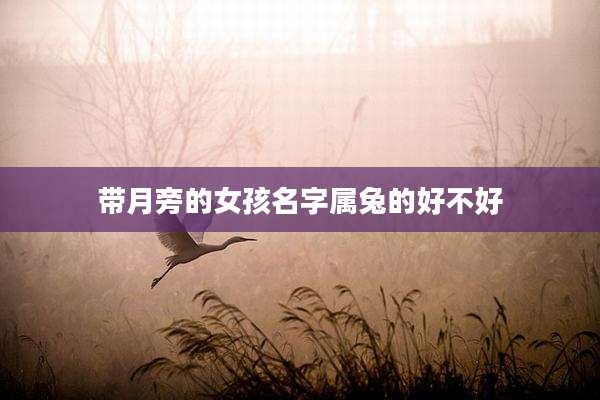 带月旁的女孩名字属兔的好不好