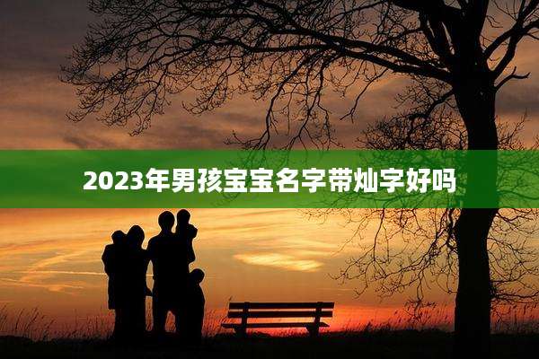 2023年男孩宝宝名字带灿字好吗