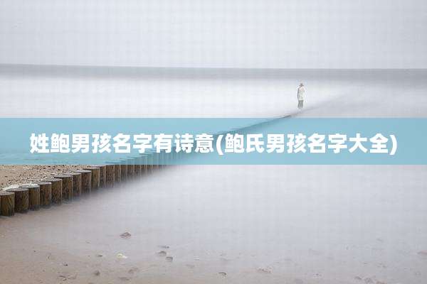 姓鲍男孩名字有诗意(鲍氏男孩名字大全)