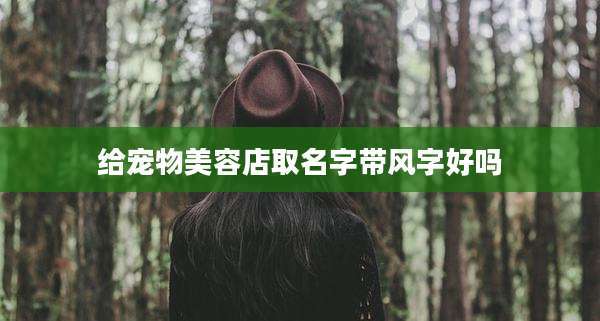 给宠物美容店取名字带风字好吗
