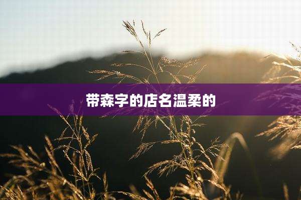 带森字的店名温柔的