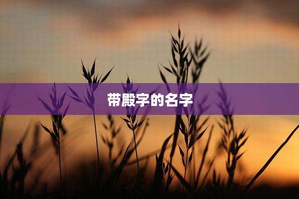 带殿字的名字