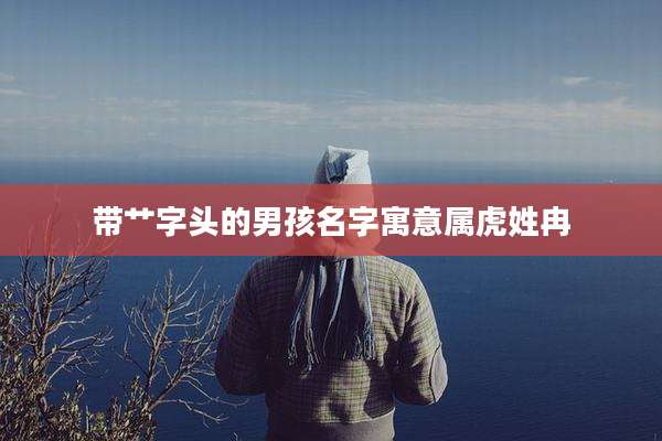 带艹字头的男孩名字寓意属虎姓冉