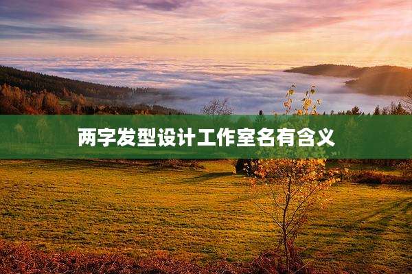 两字发型设计工作室名有含义