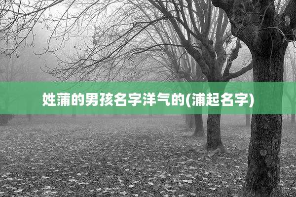 姓蒲的男孩名字洋气的(浦起名字)