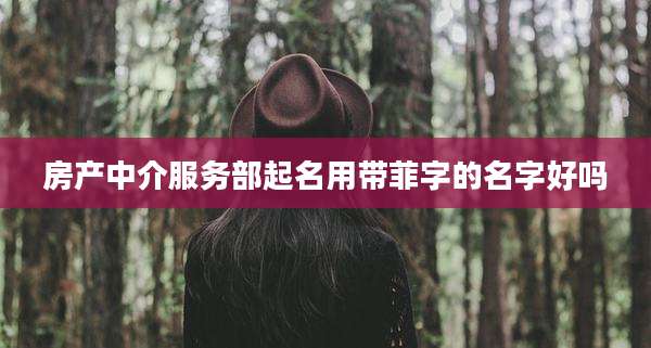 房产中介服务部起名用带菲字的名字好吗