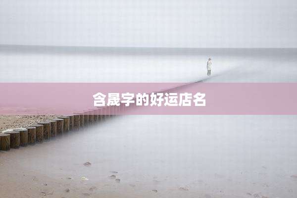 含晟字的好运店名