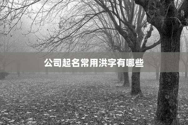 公司起名常用洪字有哪些