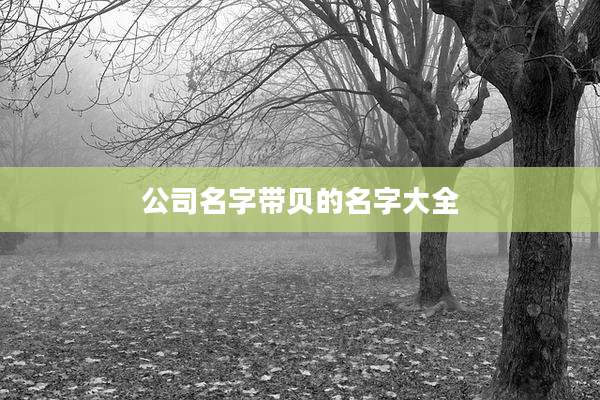 公司名字带贝的名字大全