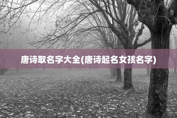 唐诗取名字大全(唐诗起名女孩名字)