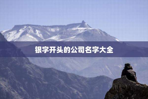 银字开头的公司名字大全