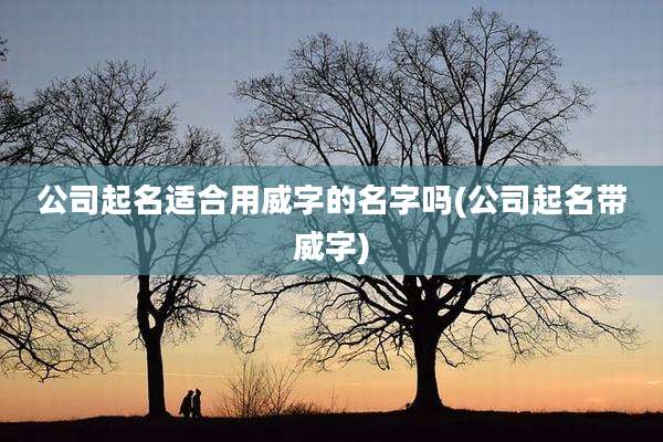 公司起名适合用威字的名字吗(公司起名带威字)