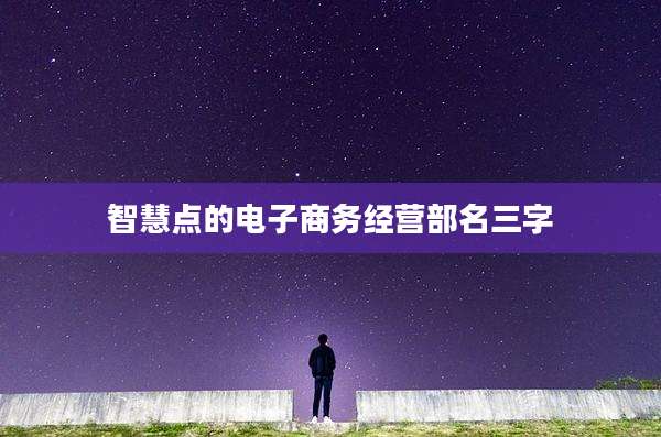 智慧点的电子商务经营部名三字