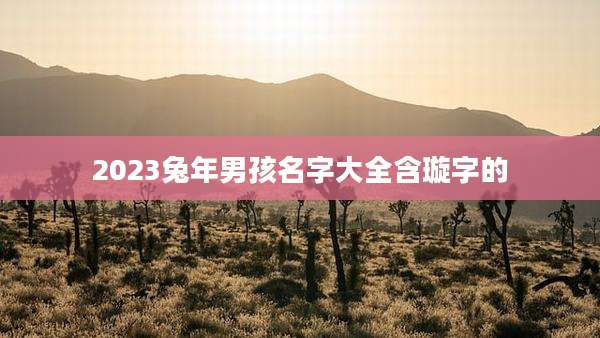2023兔年男孩名字大全含璇字的