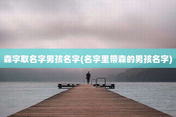 森字取名字男孩名字(名字里带森的男孩名字)