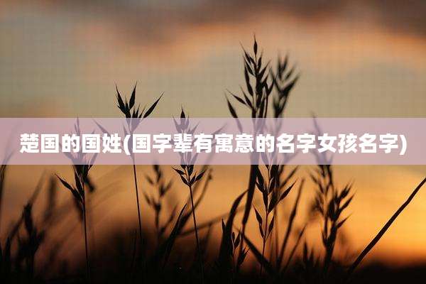 楚国的国姓(国字辈有寓意的名字女孩名字)