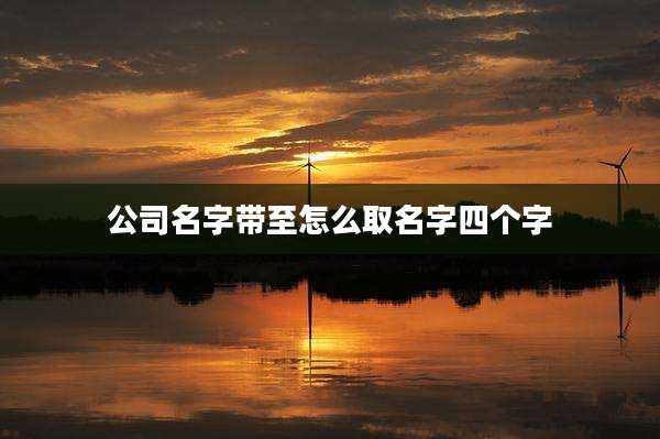 公司名字带至怎么取名字四个字