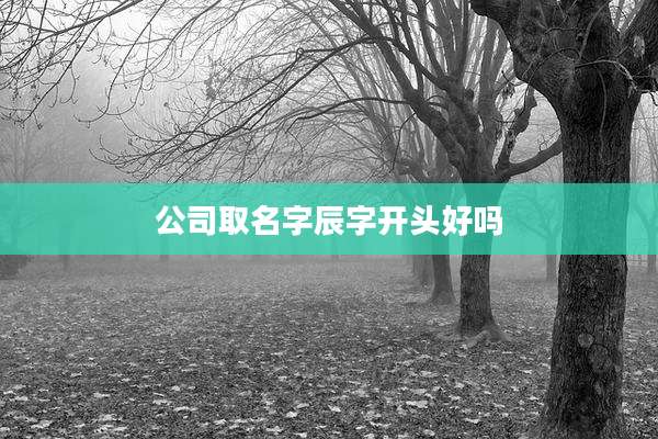 公司取名字辰字开头好吗