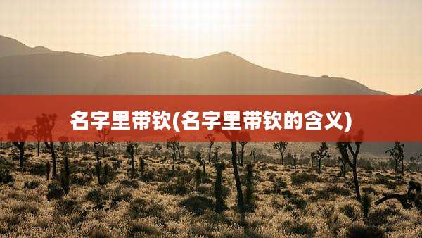 名字里带钦(名字里带钦的含义)