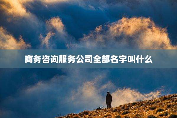 商务咨询服务公司全部名字叫什么